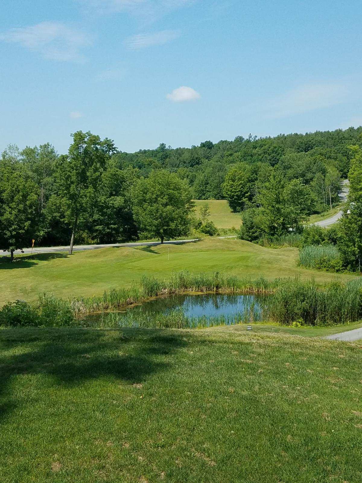 Hole 3 with pond