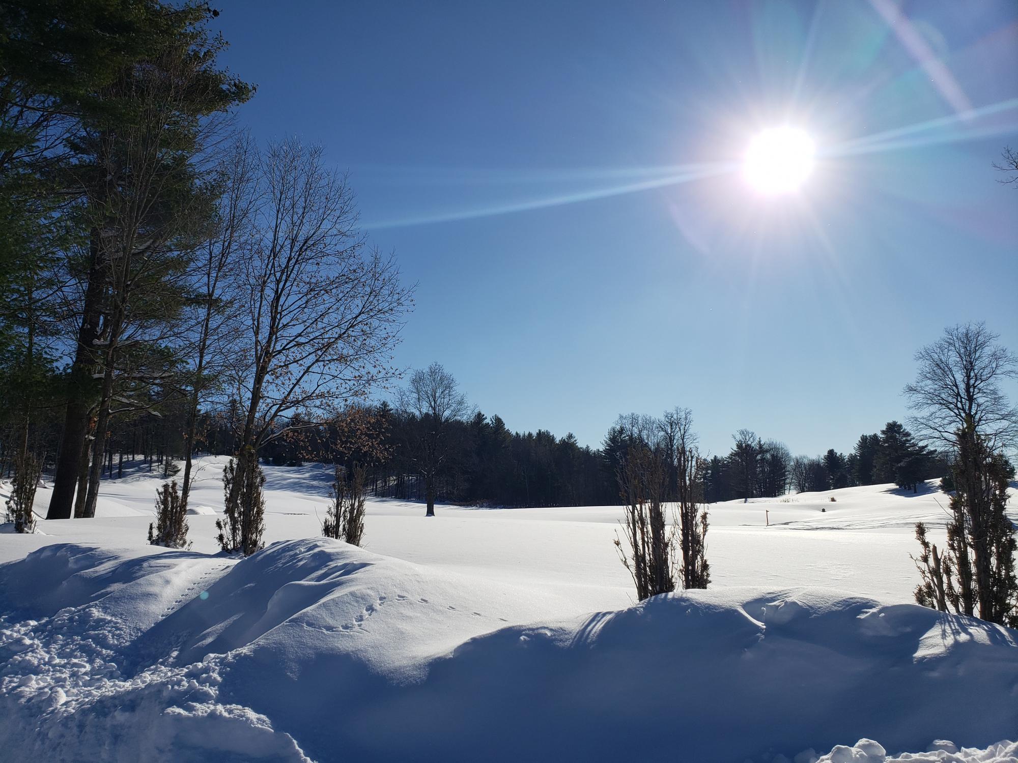 Winter Snow Pic