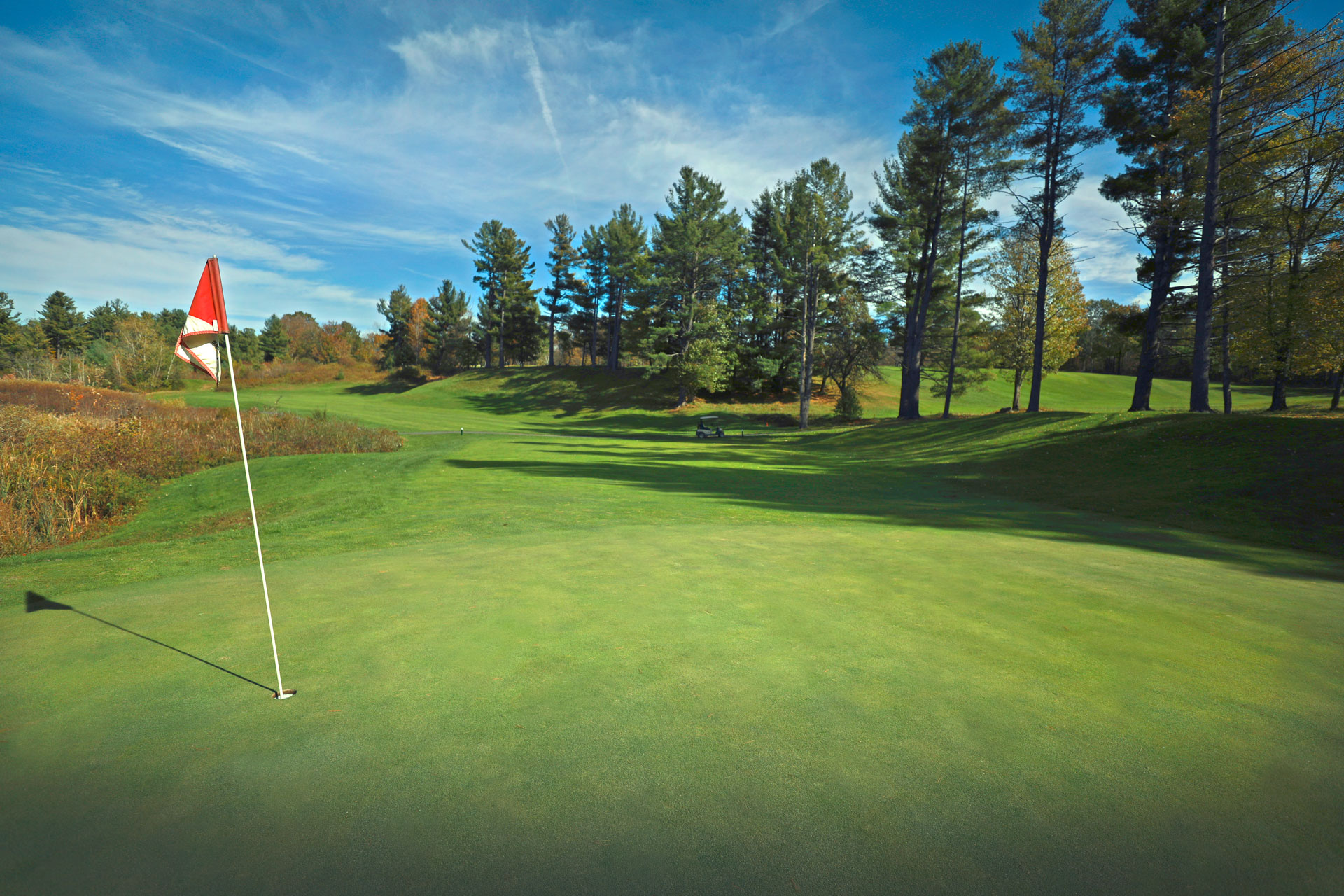 golf flag on green, with a cart and people in the distance