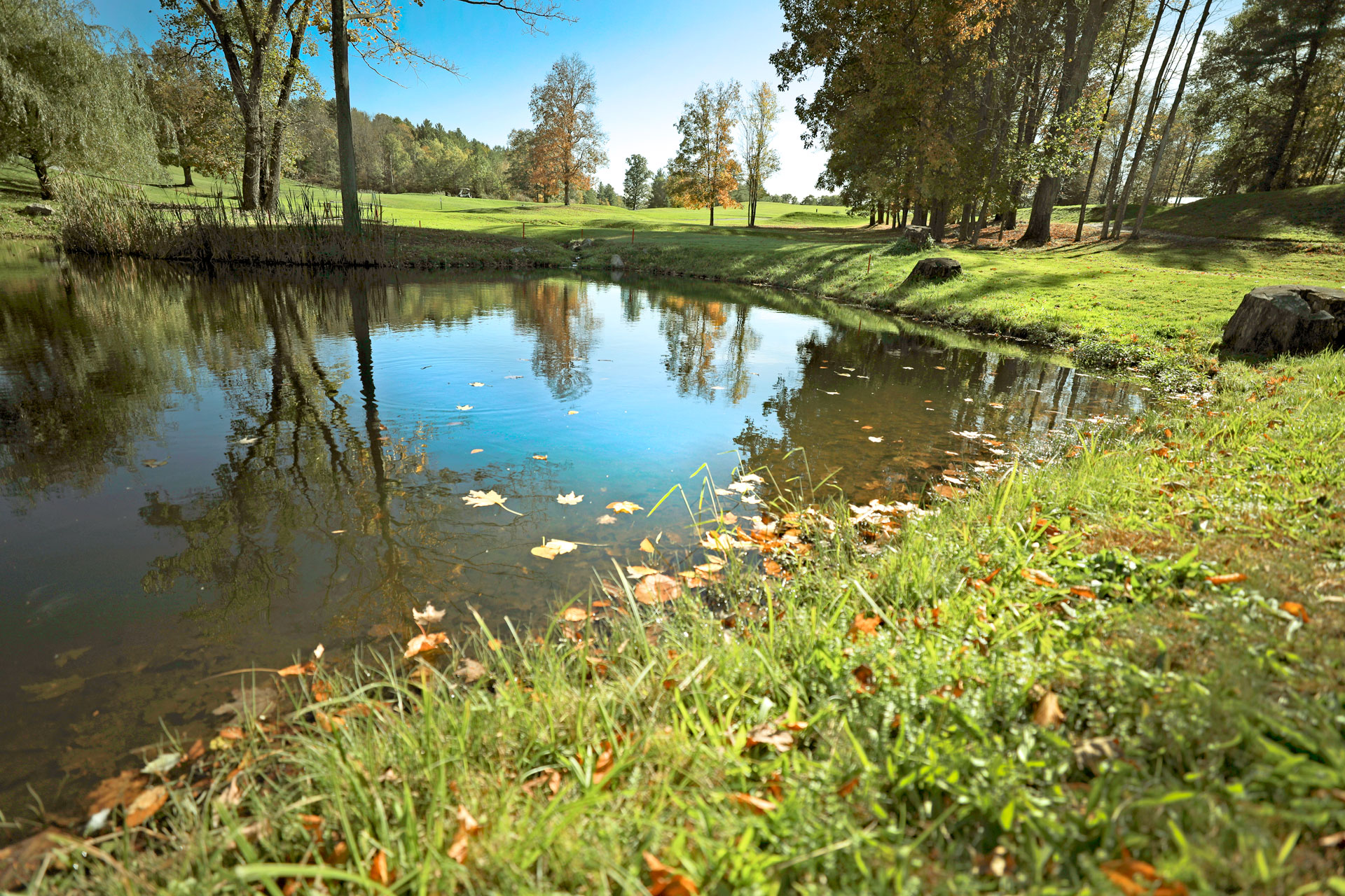 A close up view of lakewater and nature